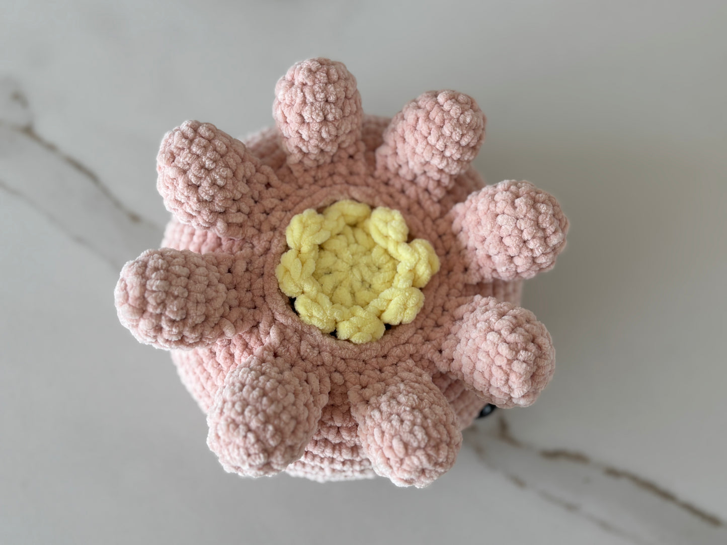 Roze kwal met twee baby kwalletjes